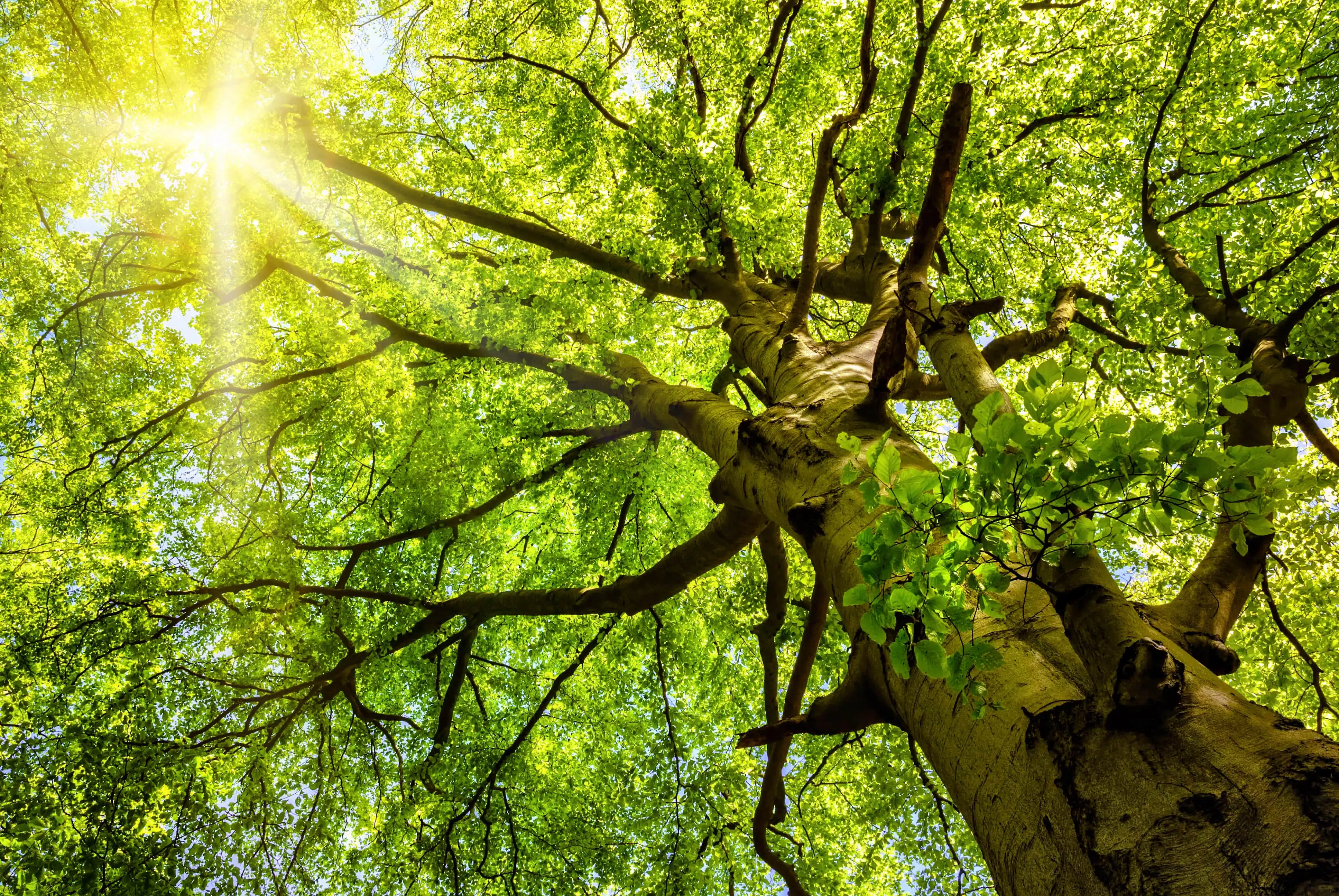 sustentabilidade home-particulares-modulo-oficinas-mapfre